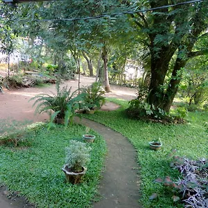 Sigiri Neo , Sigirîya Sri Lanka